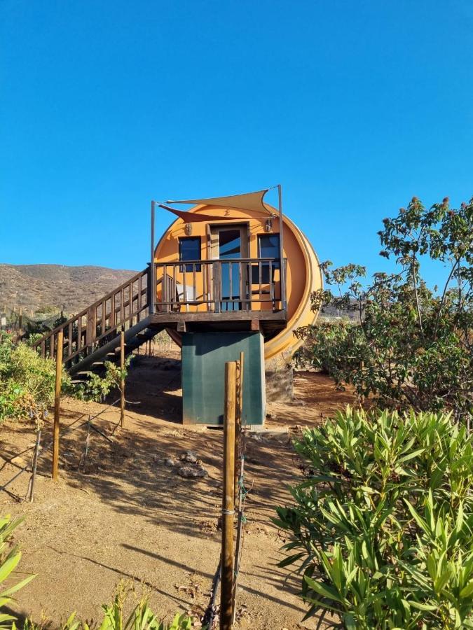 Finca El Mirador Valle de Guadalupe Exterior photo