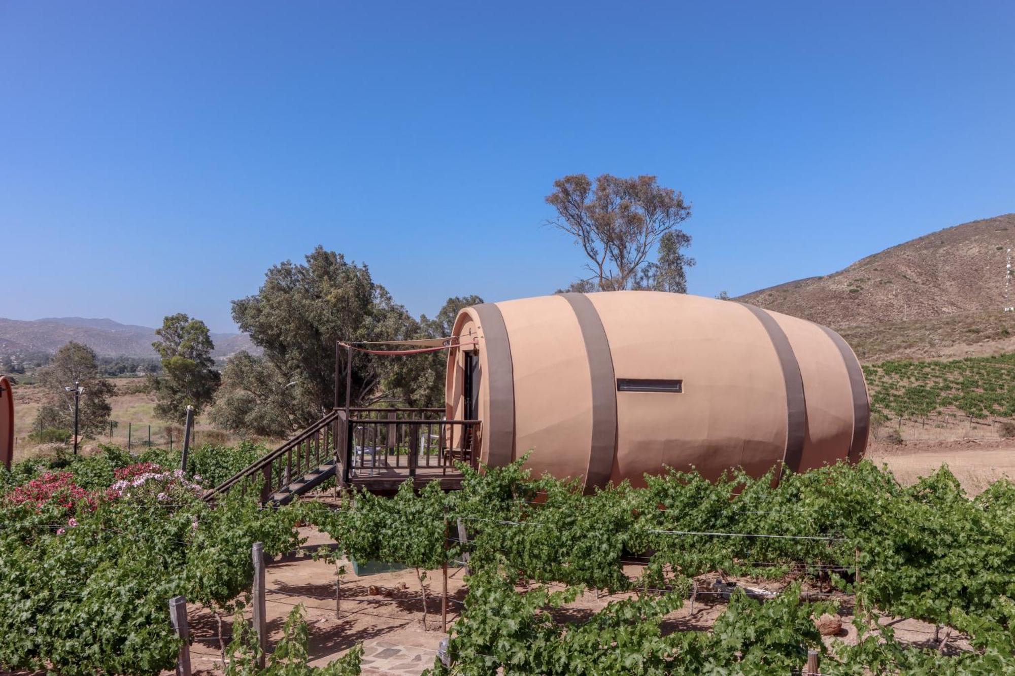Finca El Mirador Valle de Guadalupe Exterior photo